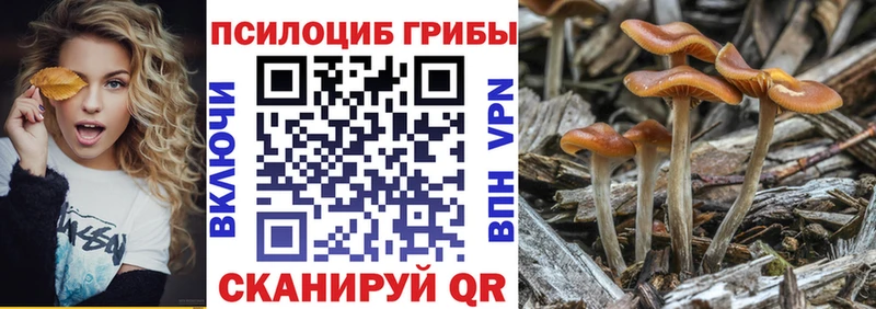 Псилоцибиновые грибы мицелий omg как зайти Красногорск